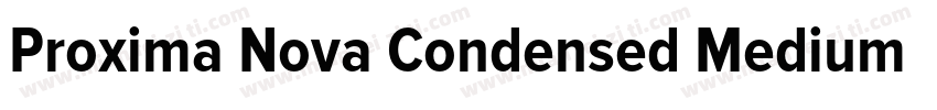 Proxima Nova Condensed Medium Itali字体转换